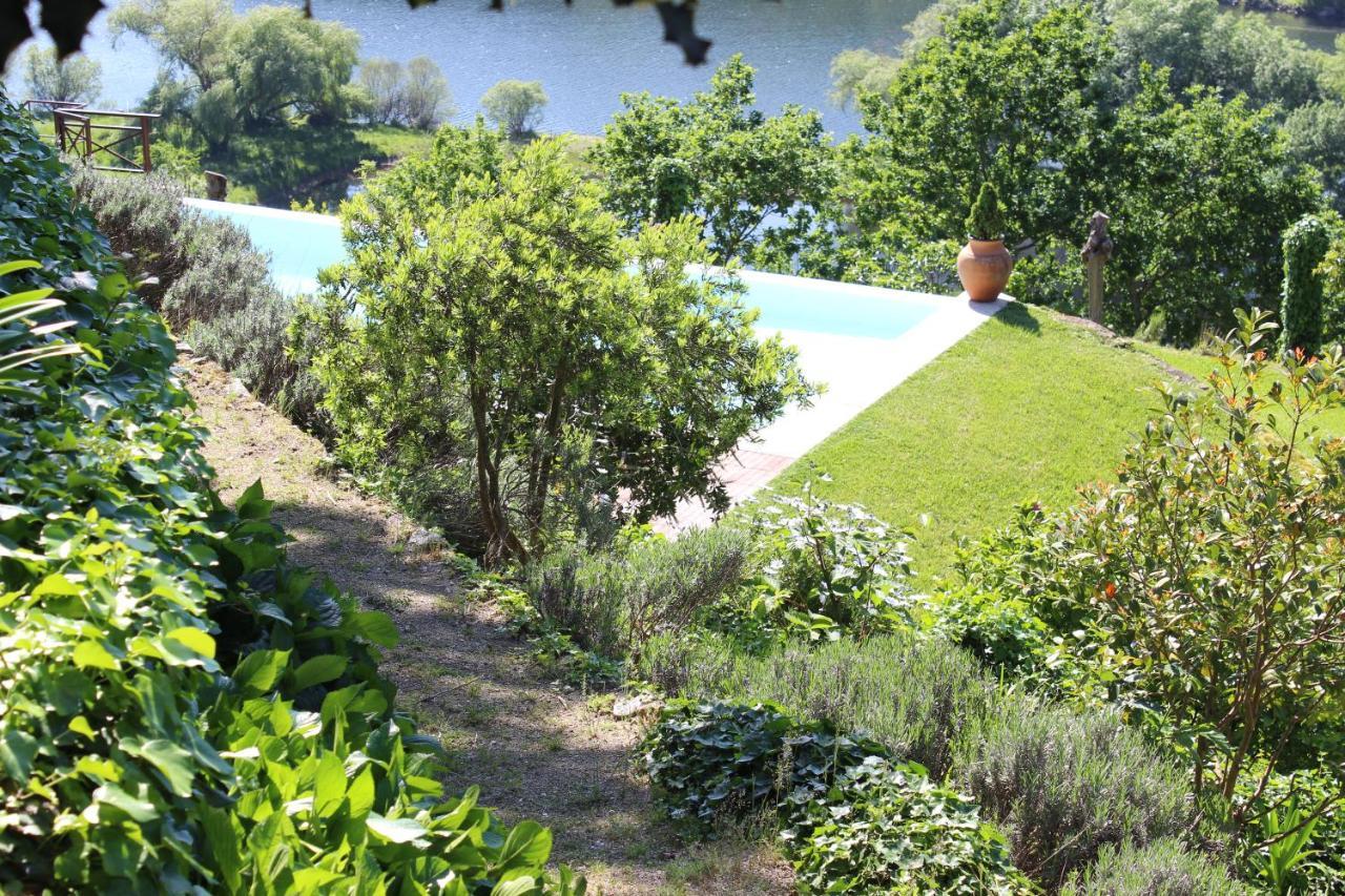 Вилла "Bouca Drigues" Casa Antiga De Pedra Com Piscina E Vista Rio Амаранте Экстерьер фото